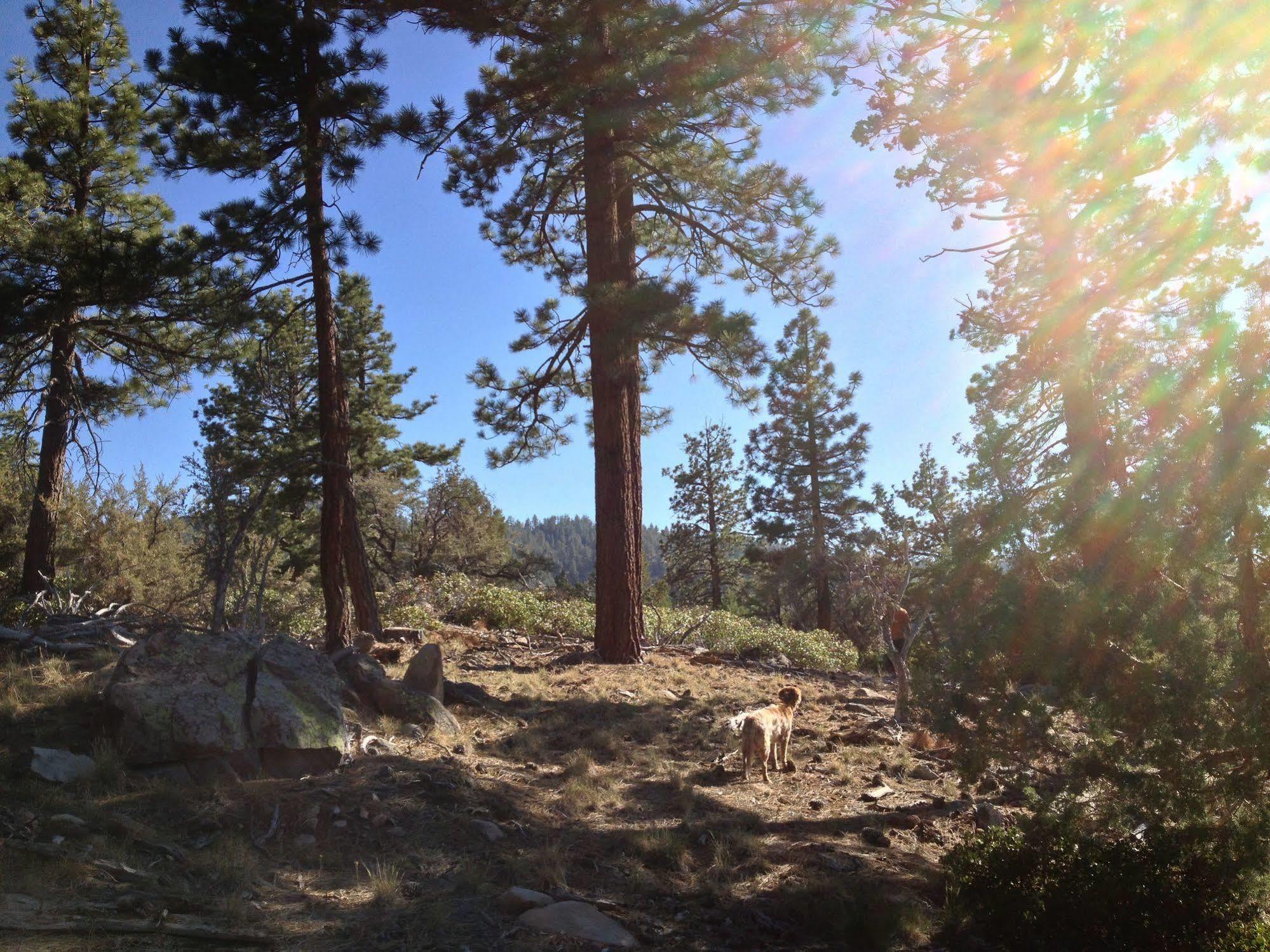 Cienaga Creek Ranch Villa Big Bear Lake Exterior photo